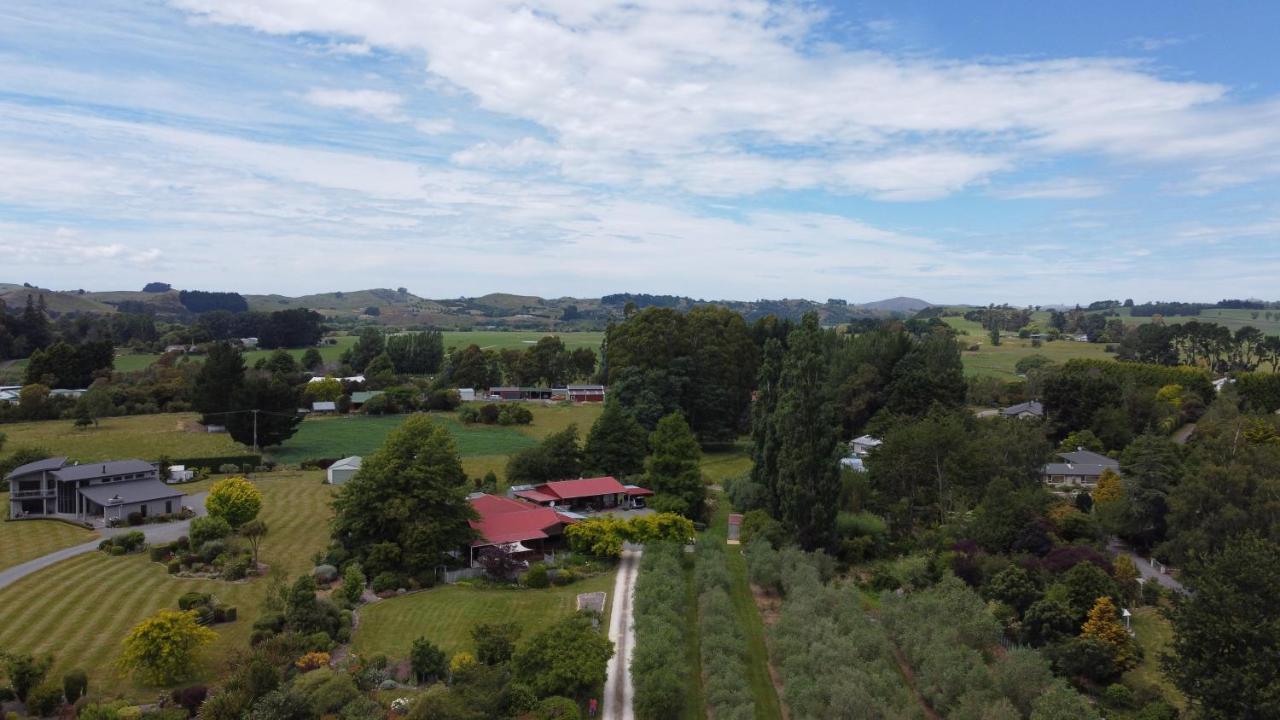 Olivista Bed and Breakfast Masterton Exteriör bild