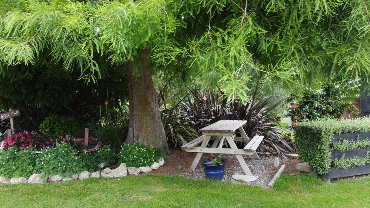 Olivista Bed and Breakfast Masterton Exteriör bild
